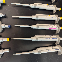 Eppendorf Research Plus Single Channel Pipettes - Quantity 15 image 2